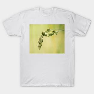 31715 wheat T-Shirt